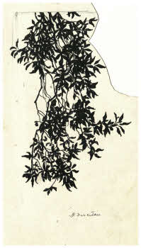 Visualizza l'immagine "FD D 2735"